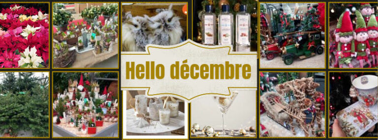 Bienvenue en décembre chez Jardiland Soignies